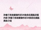 孙春兰各地要操作好20条优化措施详细内容 孙春兰各地要操作好20条优化措施具体介绍