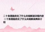 二十条措施优化了什么央视解读详细内容 二十条措施优化了什么央视解读具体介绍