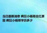 当日最新消息 疯狂小杨哥走红原因 疯狂小杨哥学历多少