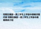 特斯拉事故一高三学生上学途中遇难详细内容 特斯拉事故一高三学生上学途中遇难具体介绍