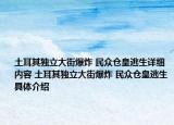 土耳其独立大街爆炸 民众仓皇逃生详细内容 土耳其独立大街爆炸 民众仓皇逃生具体介绍
