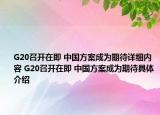 G20召开在即 中国方案成为期待详细内容 G20召开在即 中国方案成为期待具体介绍