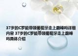 37岁的C罗能带领葡萄牙走上巅峰吗详细内容 37岁的C罗能带领葡萄牙走上巅峰吗具体介绍