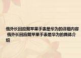 俄外长回应戴苹果手表是华为的详细内容 俄外长回应戴苹果手表是华为的具体介绍