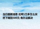 当日最新消息 花呗1万多怎么突然下降到500元 有办法解决