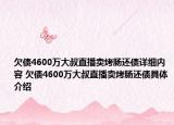 欠债4600万大叔直播卖烤肠还债详细内容 欠债4600万大叔直播卖烤肠还债具体介绍