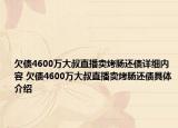 欠债4600万大叔直播卖烤肠还债详细内容 欠债4600万大叔直播卖烤肠还债具体介绍