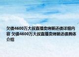 欠债4600万大叔直播卖烤肠还债详细内容 欠债4600万大叔直播卖烤肠还债具体介绍