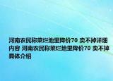 河南农民称菜烂地里降价70 卖不掉详细内容 河南农民称菜烂地里降价70 卖不掉具体介绍