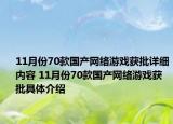 11月份70款国产网络游戏获批详细内容 11月份70款国产网络游戏获批具体介绍