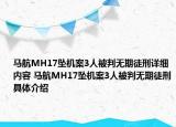 马航MH17坠机案3人被判无期徒刑详细内容 马航MH17坠机案3人被判无期徒刑具体介绍