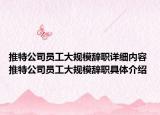 推特公司员工大规模辞职详细内容 推特公司员工大规模辞职具体介绍