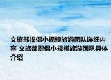 文旅部提倡小规模旅游团队详细内容 文旅部提倡小规模旅游团队具体介绍