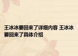 王冰冰要回来了详细内容 王冰冰要回来了具体介绍