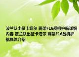 波兰队出征卡塔尔 两架F16战机护航详细内容 波兰队出征卡塔尔 两架F16战机护航具体介绍