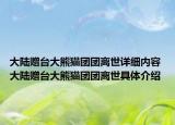 大陆赠台大熊猫团团离世详细内容 大陆赠台大熊猫团团离世具体介绍