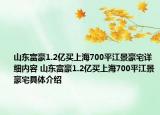 山东富豪1.2亿买上海700平江景豪宅详细内容 山东富豪1.2亿买上海700平江景豪宅具体介绍