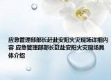 应急管理部部长赶赴安阳火灾现场详细内容 应急管理部部长赶赴安阳火灾现场具体介绍
