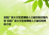 安阳厂房火灾犯罪嫌疑人已被控制详细内容 安阳厂房火灾犯罪嫌疑人已被控制具体介绍