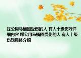 踩公用马桶圈受伤的人 有人十级伤残详细内容 踩公用马桶圈受伤的人 有人十级伤残具体介绍