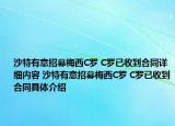 沙特有意招募梅西C罗 C罗已收到合同详细内容 沙特有意招募梅西C罗 C罗已收到合同具体介绍