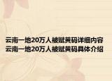 云南一地20万人被赋黄码详细内容 云南一地20万人被赋黄码具体介绍