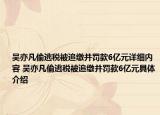 吴亦凡偷逃税被追缴并罚款6亿元详细内容 吴亦凡偷逃税被追缴并罚款6亿元具体介绍
