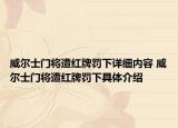 威尔士门将遭红牌罚下详细内容 威尔士门将遭红牌罚下具体介绍