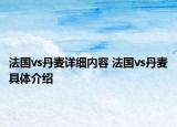 法国vs丹麦详细内容 法国vs丹麦具体介绍