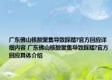 广东佛山核酸聚集导致踩踏?官方回应详细内容 广东佛山核酸聚集导致踩踏?官方回应具体介绍