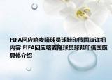 FIFA回应喀麦隆球员球鞋印俄国旗详细内容 FIFA回应喀麦隆球员球鞋印俄国旗具体介绍
