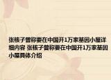 张核子曾称要在中国开1万家基因小屋详细内容 张核子曾称要在中国开1万家基因小屋具体介绍