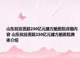 山东拟投资超230亿元建方舱医院详细内容 山东拟投资超230亿元建方舱医院具体介绍
