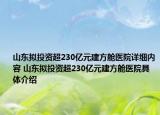 山东拟投资超230亿元建方舱医院详细内容 山东拟投资超230亿元建方舱医院具体介绍