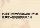 厄瓜多尔vs塞内加尔详细内容 厄瓜多尔vs塞内加尔具体介绍