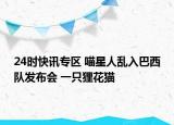 24时快讯专区 喵星人乱入巴西队发布会 一只狸花猫