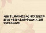 9省份本土病例中检出BQ.1及其亚分支详细内容 9省份本土病例中检出BQ.1及其亚分支具体介绍