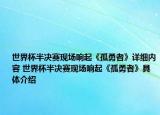 世界杯半决赛现场响起《孤勇者》详细内容 世界杯半决赛现场响起《孤勇者》具体介绍