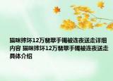 猫咪摔坏12万翡翠手镯被连夜送走详细内容 猫咪摔坏12万翡翠手镯被连夜送走具体介绍