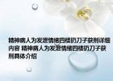 精神病人为发泄情绪四楼扔刀子获刑详细内容 精神病人为发泄情绪四楼扔刀子获刑具体介绍