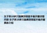 女子养10多只猫臭到邻居不敢开窗详细内容 女子养10多只猫臭到邻居不敢开窗具体介绍
