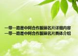 一带一路是中阿合作靓丽名片详细内容 一带一路是中阿合作靓丽名片具体介绍