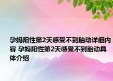 孕妈阳性第2天感受不到胎动详细内容 孕妈阳性第2天感受不到胎动具体介绍