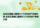 含连花清瘟口罩预计1个月内投产详细内容 含连花清瘟口罩预计1个月内投产具体介绍