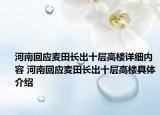 河南回应麦田长出十层高楼详细内容 河南回应麦田长出十层高楼具体介绍
