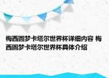 梅西圆梦卡塔尔世界杯详细内容 梅西圆梦卡塔尔世界杯具体介绍