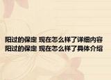 阳过的保定 现在怎么样了详细内容 阳过的保定 现在怎么样了具体介绍