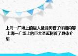 上海一广场上的巨大圣诞树着了详细内容 上海一广场上的巨大圣诞树着了具体介绍