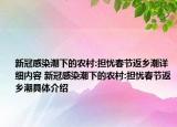 新冠感染潮下的农村:担忧春节返乡潮详细内容 新冠感染潮下的农村:担忧春节返乡潮具体介绍