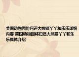 美国动物园将归还大熊猫丫丫和乐乐详细内容 美国动物园将归还大熊猫丫丫和乐乐具体介绍